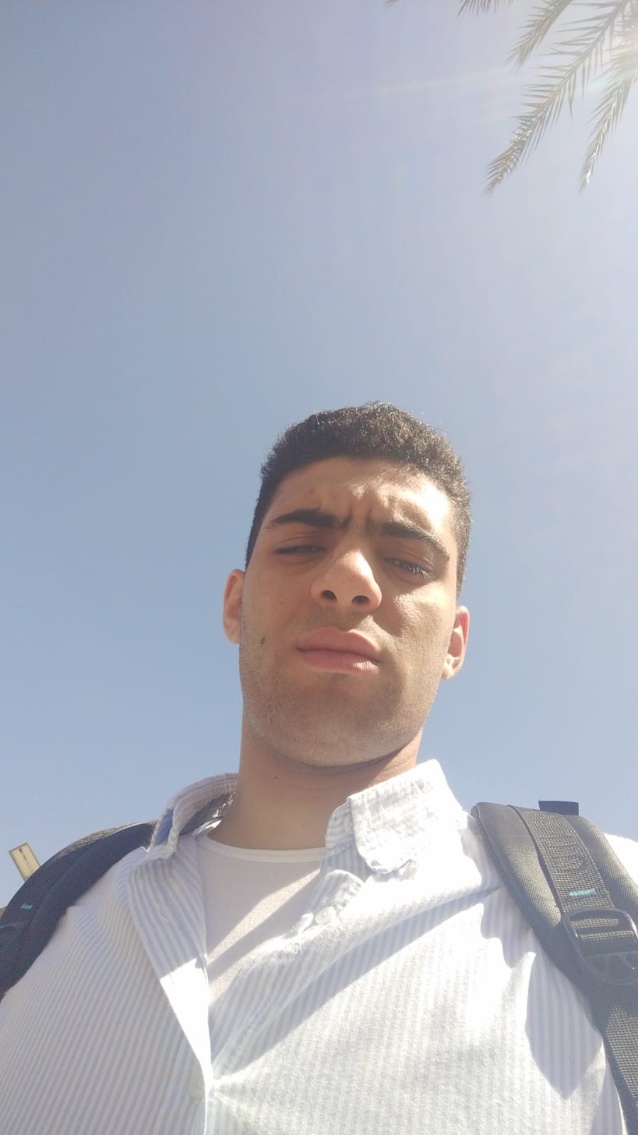 hamdy